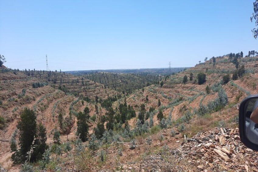 Serra de Silves