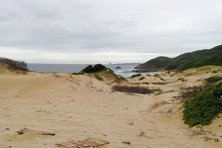 En sandstrand med klitter og udsigt over havet. 3