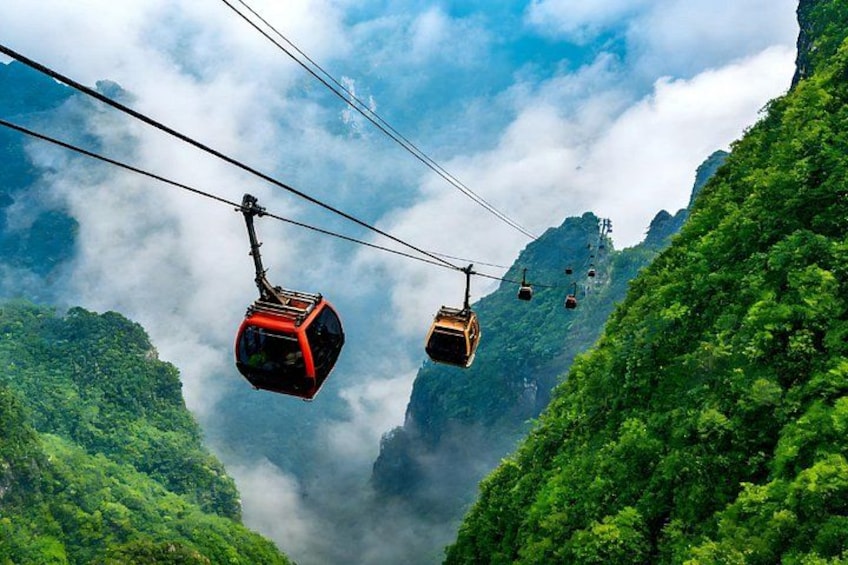 Cable cars suspended over a lush green valley with misty mountains in the background. 3