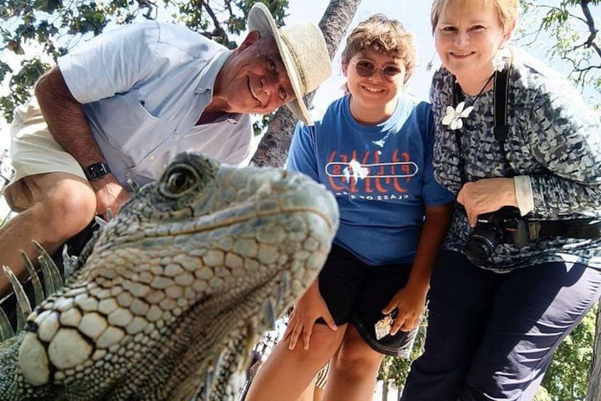 Private city tour in Guayaquil - Iguana Park 2