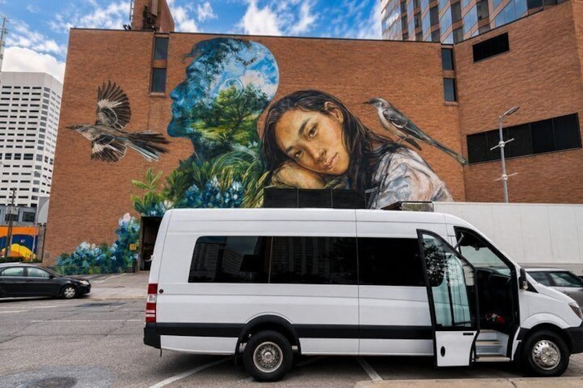 Executive Private Houston City Tour 1