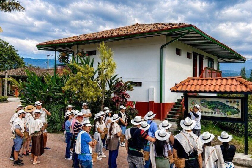 Coffee Tour at the Finca del Café 1
