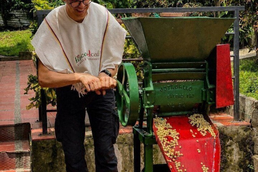 Coffee Tour at the Finca del Café 3