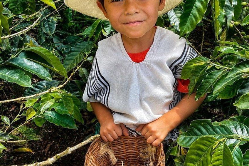 Coffee Tour at the Finca del Café 2