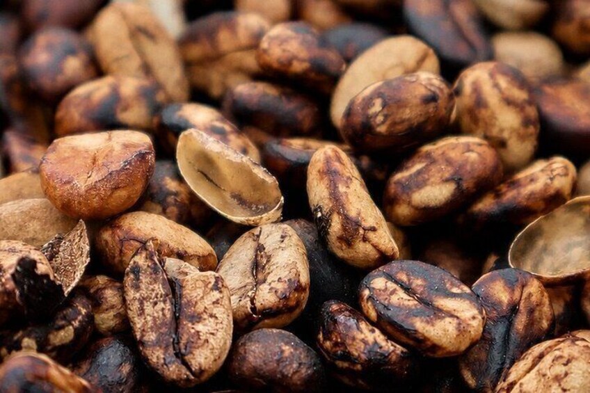 Rostade kaffebönor, varav några har spruckit. 4
