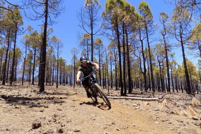 Mountain bike excursions