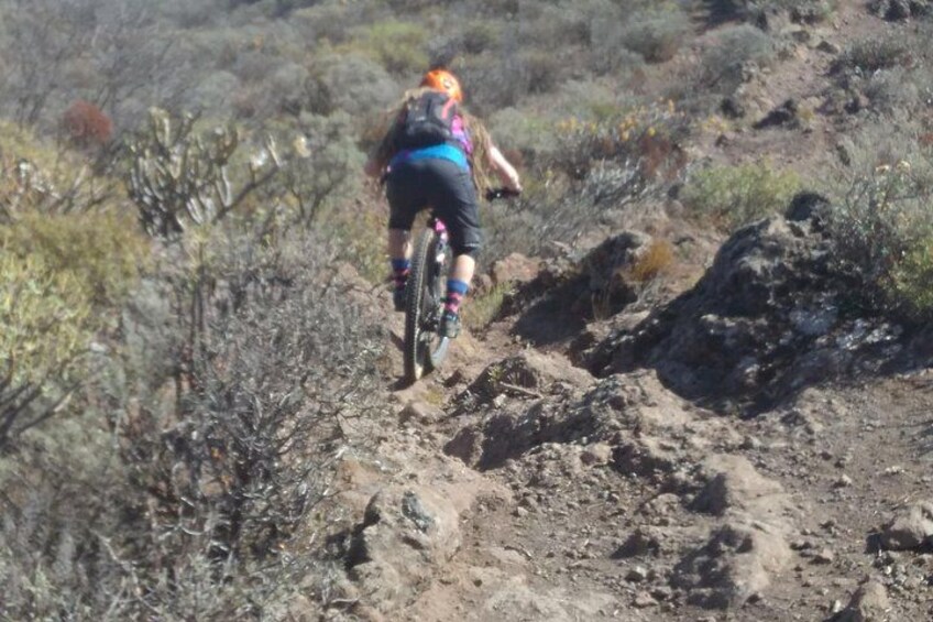 A person riding a mountain bike on a rocky trail surrounded by sparse vegetation. 2