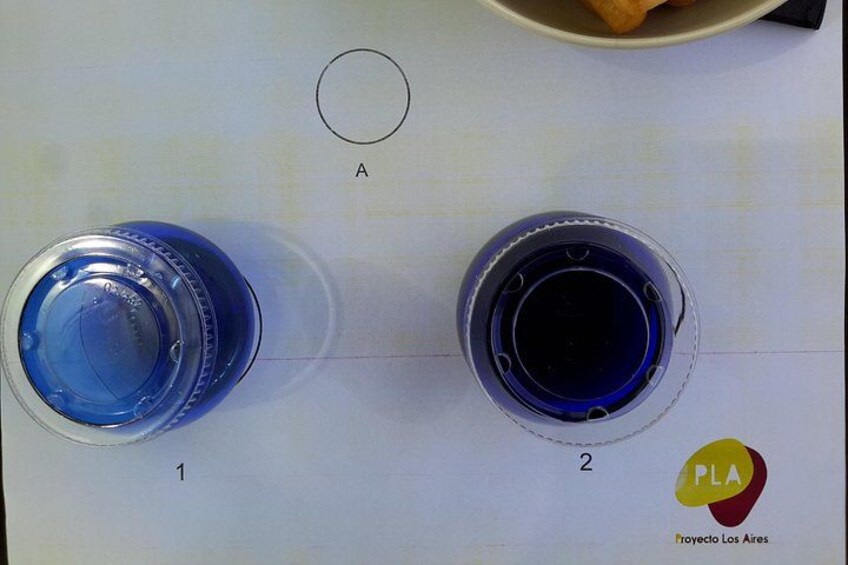 Visit olive grove centenary with oil tasting course 3
