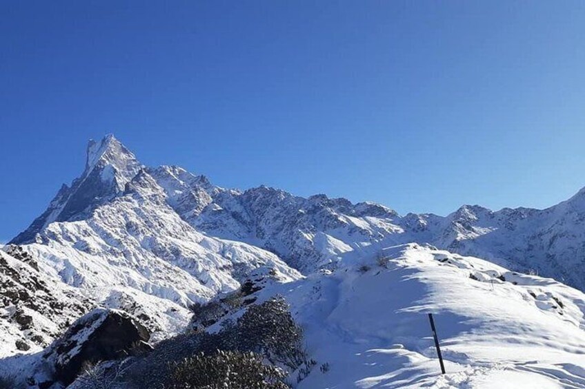 Wow View from Mardi Himal Base Camp 3