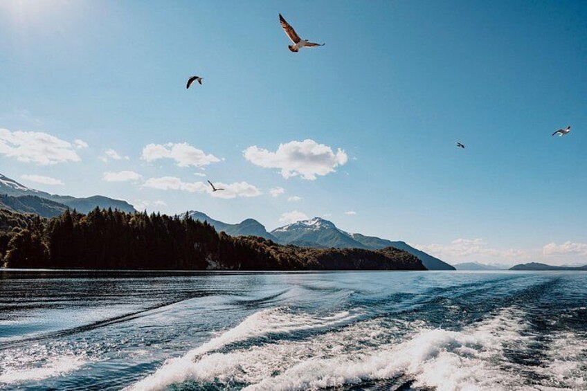 Een meer met bergen op de achtergrond, een boot die golven veroorzaakt, en vogels in de lucht. 5