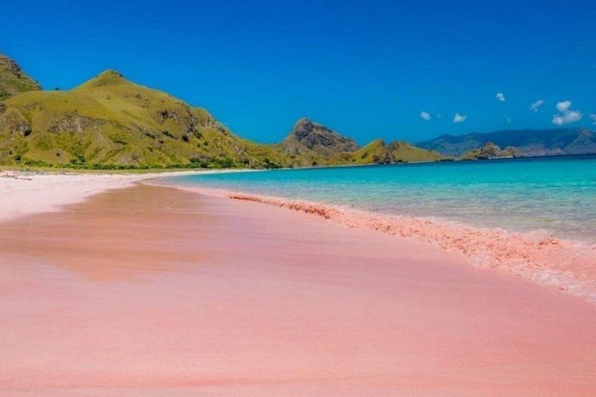 1 Day Komodo Trip by Private Speedboat 1