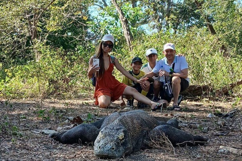 1 Day Komodo Trip by Private Speedboat 5