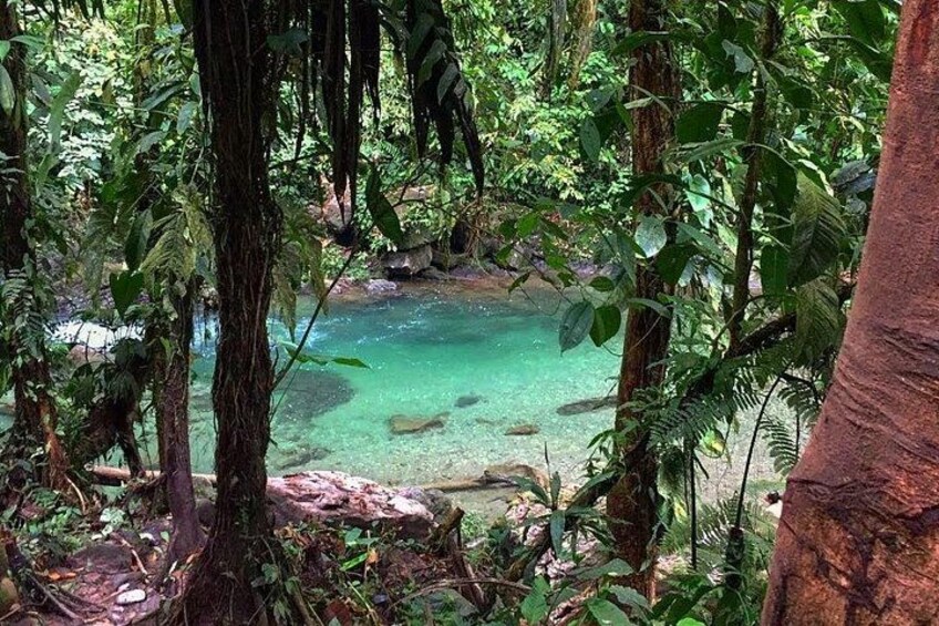Emerald Puddle 4