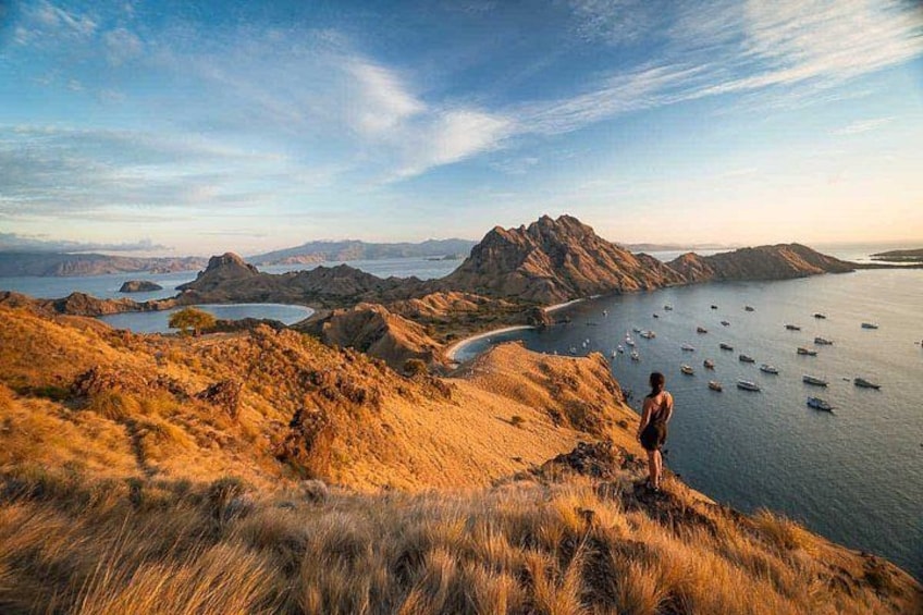 Ein Wanderer auf einer grasbewachsenen Hügelspitze mit Blick auf eine Küstenlandschaft, Boote und Berge. 2