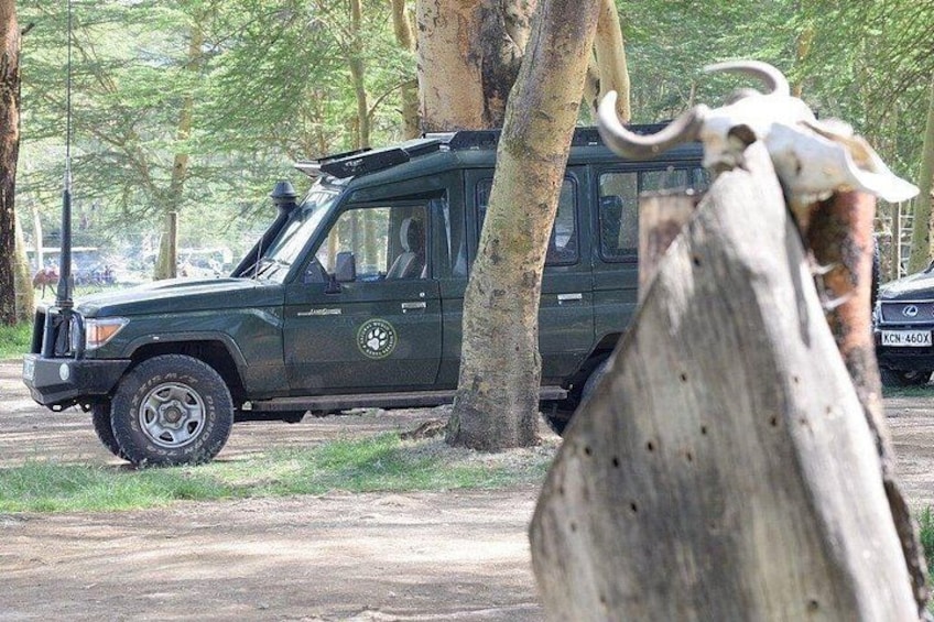 Een donkergroene SUV geparkeerd naast een boom in een park. 2