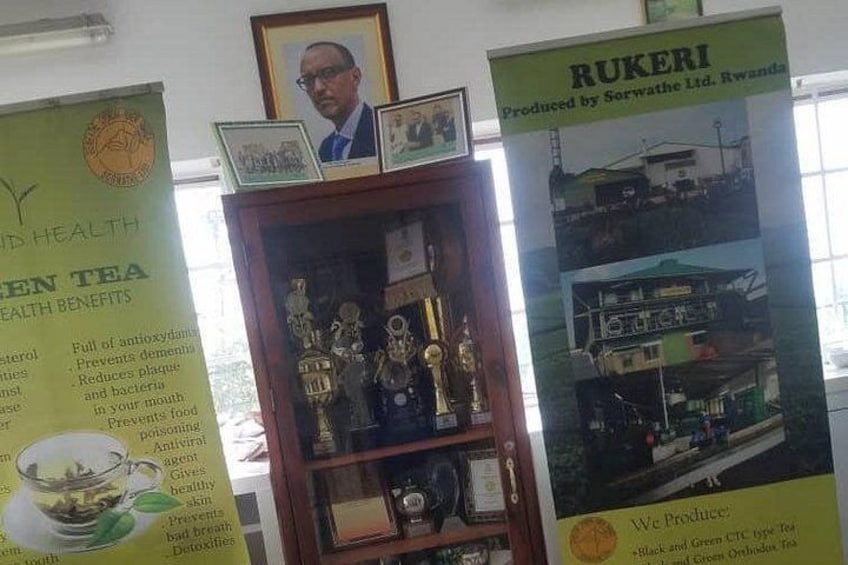 Esposizione di trofei e una cornice con foto su uno scaffale, con manifesti informativi sui benefici per la salute del tè verde e sulla produzione del tè Rukeri. 3