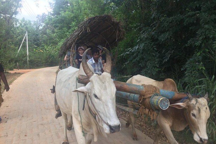 Un chemin de campagne où deux bœufs tirent un chariot. 2