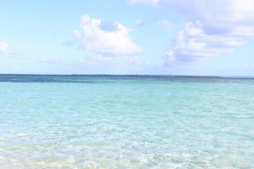 Small Day Cruise (Ilet caret, mangrove, coral reef 4