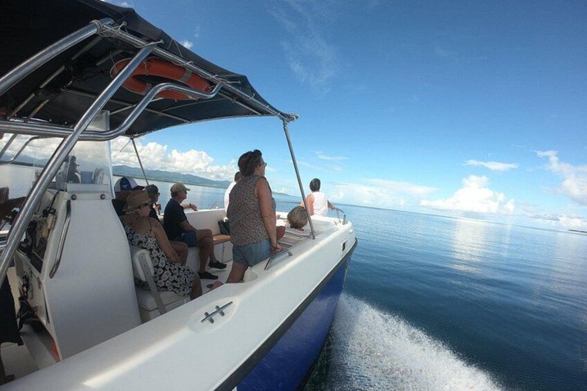 Small Day Cruise (Ilet caret, mangrove, coral reef 5