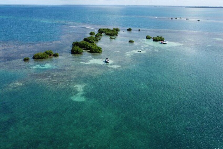 Small Day Cruise (Ilet caret, mangrove, coral reef