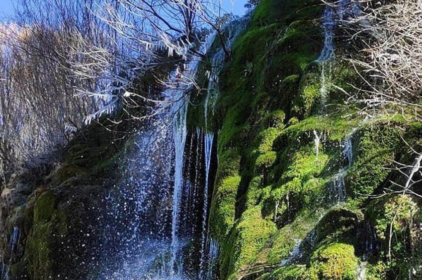Een waterval stort neer over met mos begroeide rotsen in een bebost gebied. 1