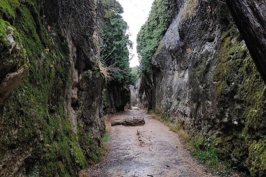 Un sendero estrecho y rocoso bordeado por riscos cubiertos de musgo. 3