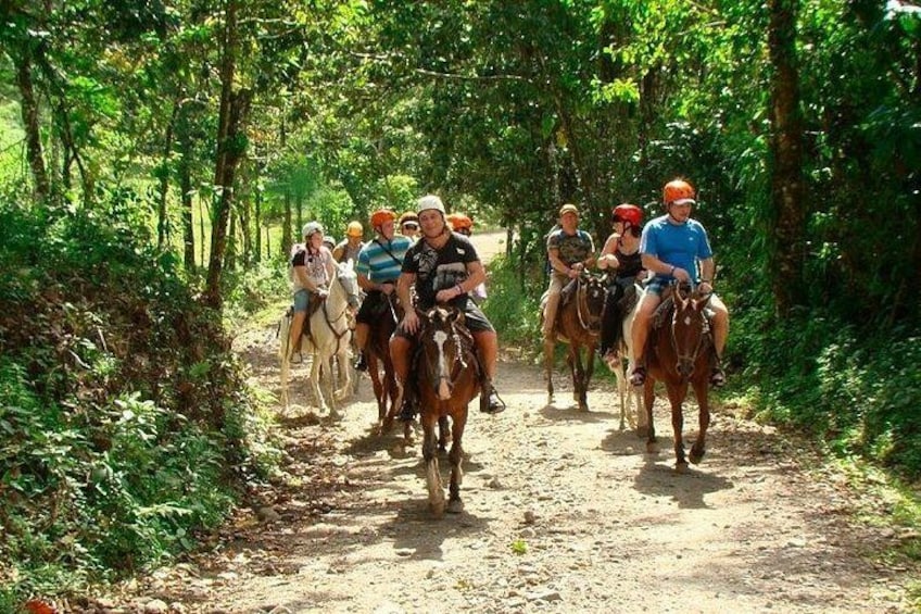 Horseback Riding to La Fortuna Waterfall 2