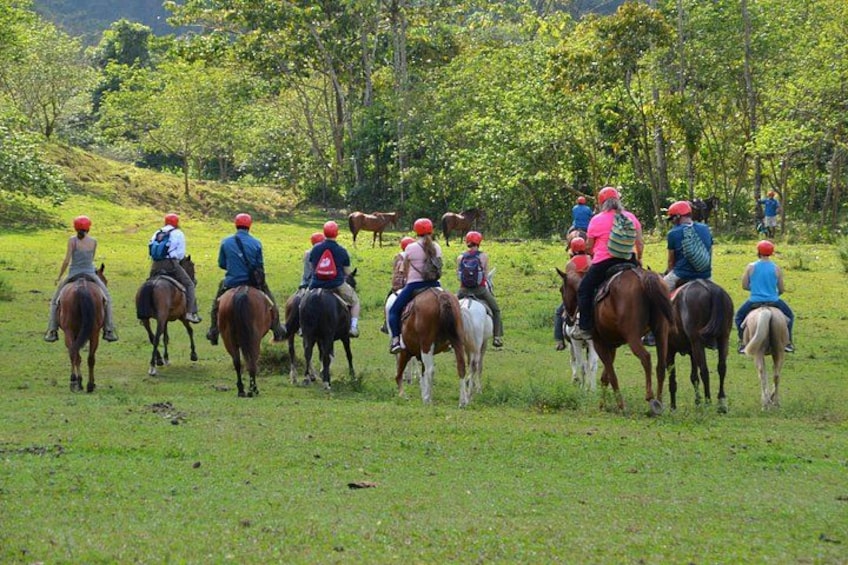 Horseback Riding to La Fortuna Waterfall 4