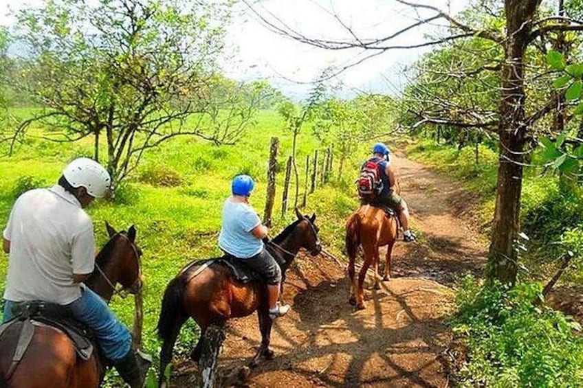 Horseback Riding to La Fortuna Waterfall 5