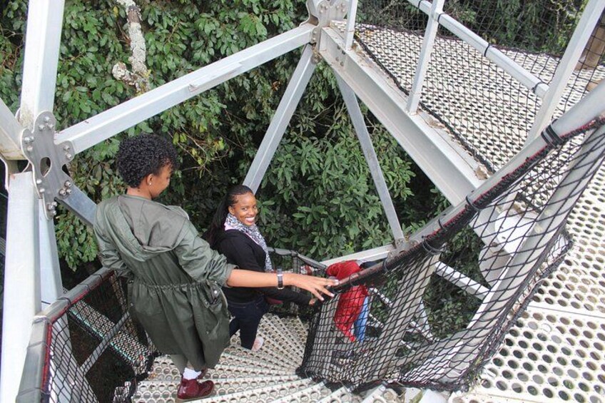 1 Day Canopy walk way in Nyungwe Natioinal park 5