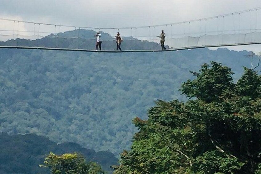 1 Day Canopy walk way in Nyungwe Natioinal park 3