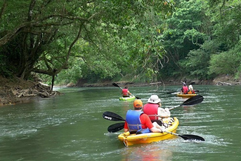Discover the essence of Costa Rica !. 1