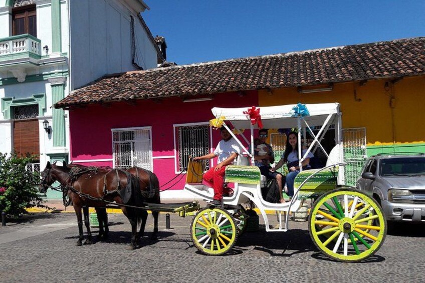 City Tour on Horse Carriage 3