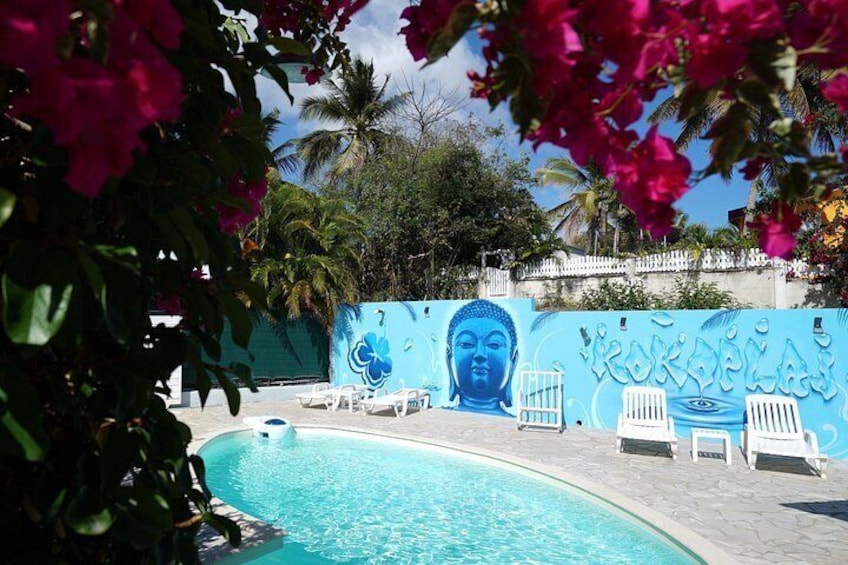 Surf lessons 1h30 (4-6 people) Kokoplaj Surf camp Guadeloupe school 4