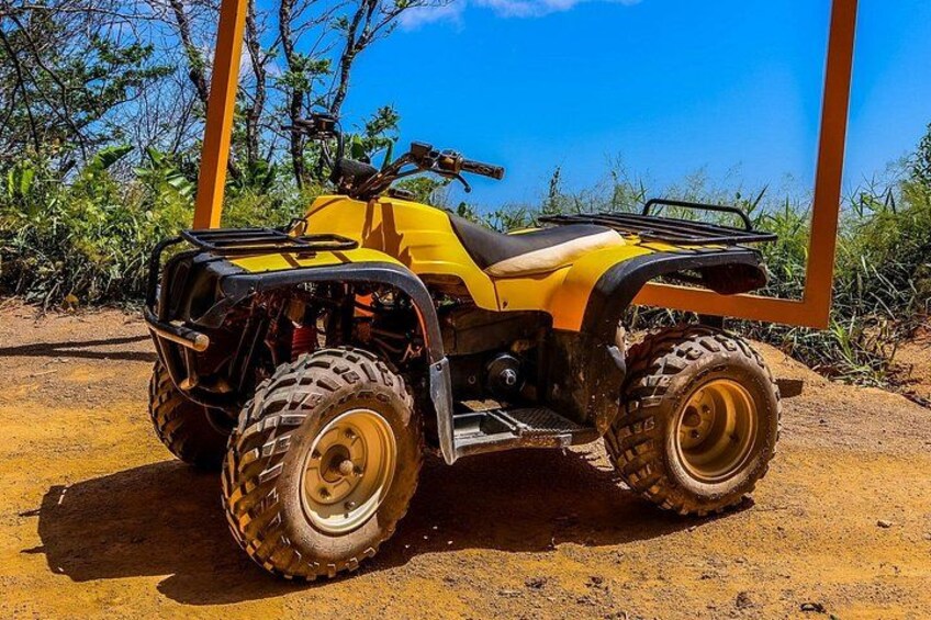 Un véhicule tout-terrain jaune, doté de grands pneus, se trouve sur un terrain accidenté, entouré de végétation. 2