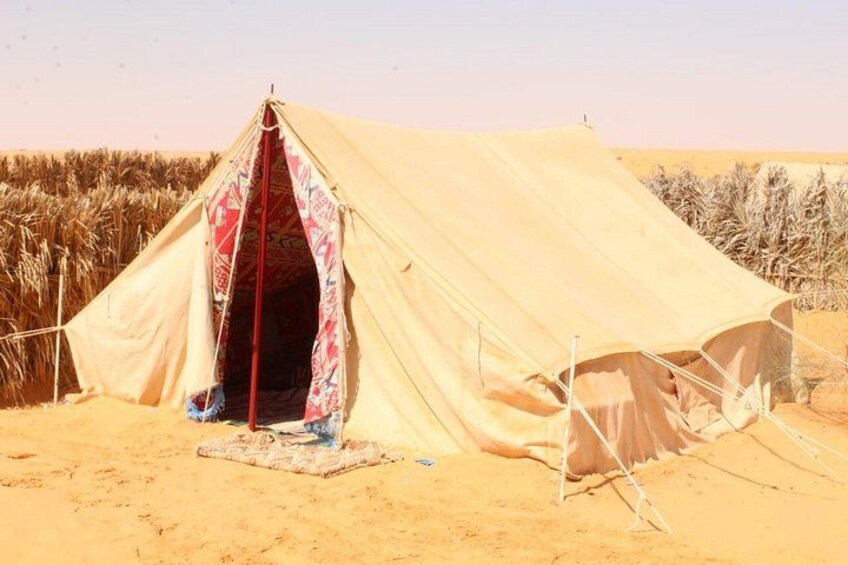 a day in Ksar Ghilane Star Wars Tours departing from Djerba 2