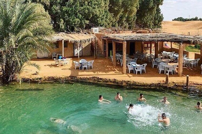 Ein Schwimmbecken mit Personen, einer Palme und einem Gebäude mit Außenplätzen. 1