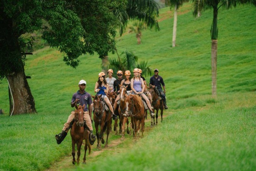 A group of people riding horses on a dirt path in a grassy area with trees. 3