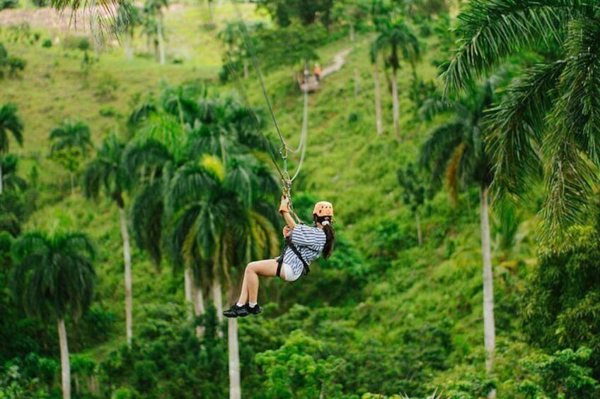A person zip-lining through a lush, green landscape with palm trees. 1