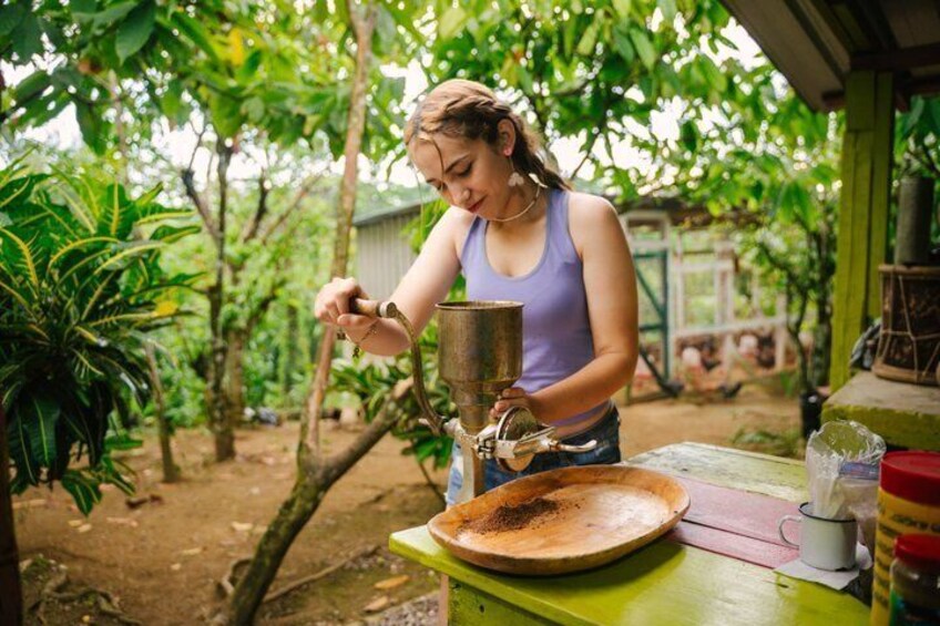 Punta Cana Zipline Adventure with Buggies and Horseback Riding 4