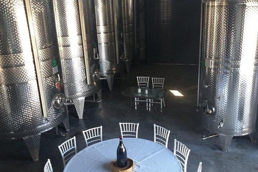 Kalamata- Olive oil & Wine Tour with traditional lunch 3