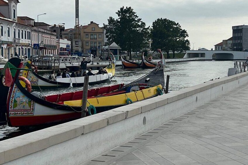Aveiro / Porto / Gaia full day Private tour 4
