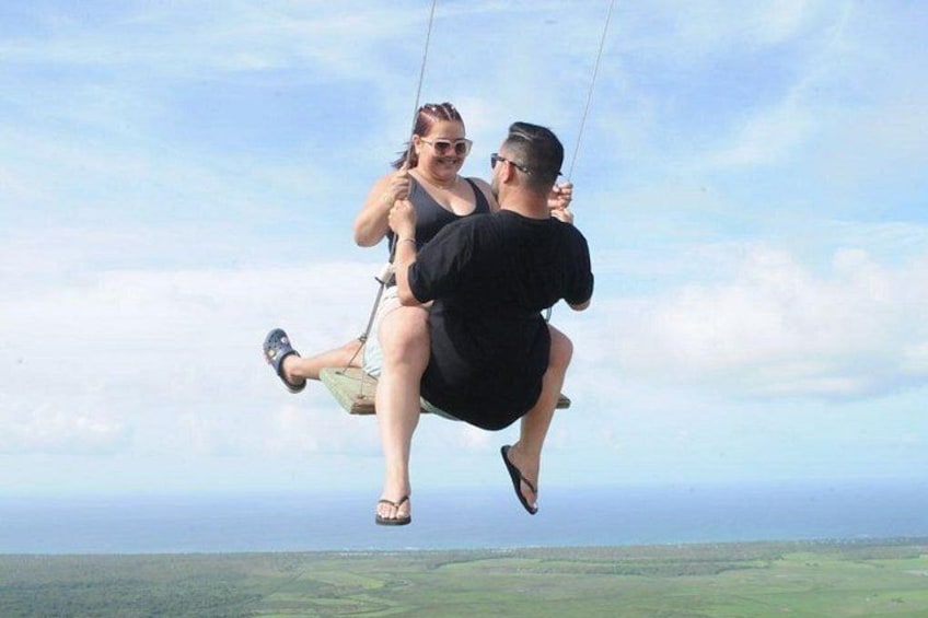 A person on a swing with a landscape in the background. 4