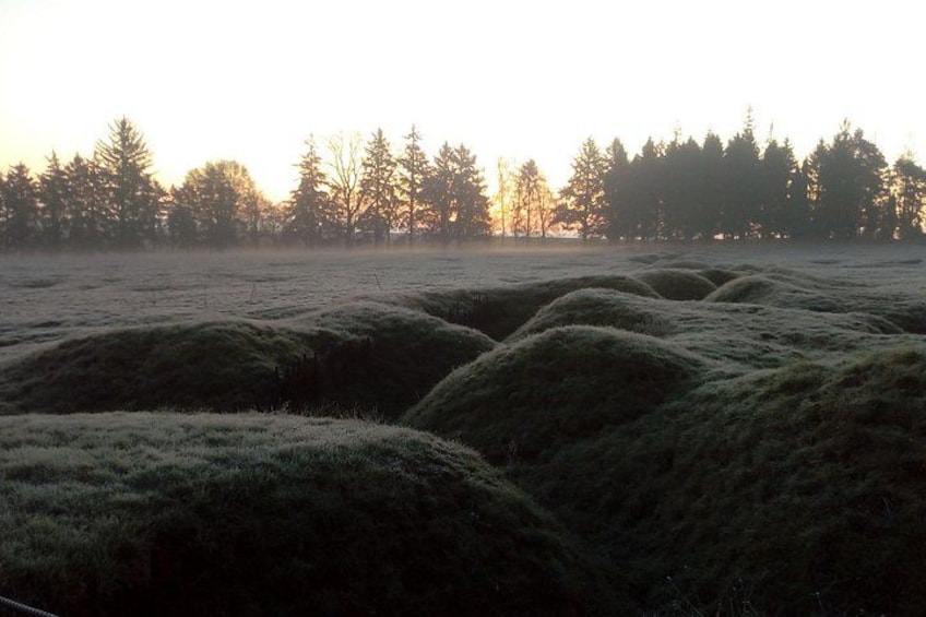 Newfoundland Memorial Park 5