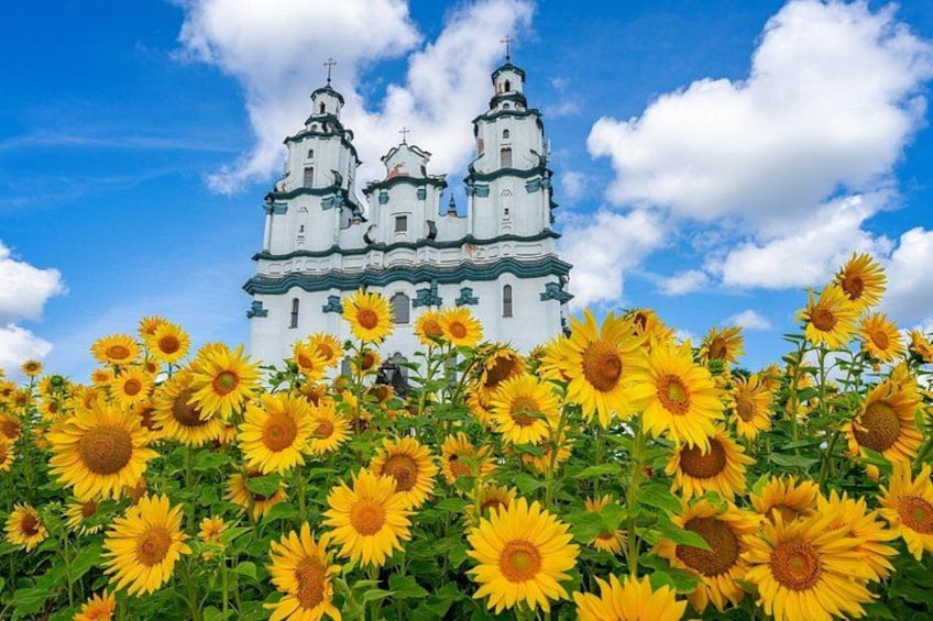Eine Kirche mit zwei Türmen und einem Sonnenblumenfeld im Vordergrund. 2