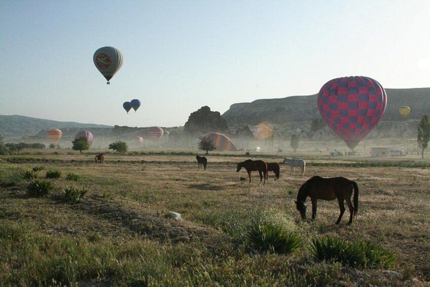 Hot air balloons, horses, and a hilly landscape. 4