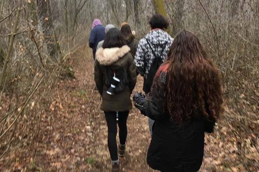 Un grupo de personas caminando por un área boscosa con suelo cubierto de hojas. 4