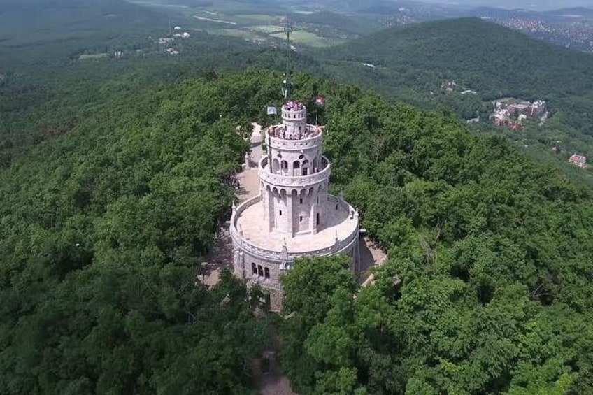 Una estructura en forma de torre rodeada de un bosque denso. 1