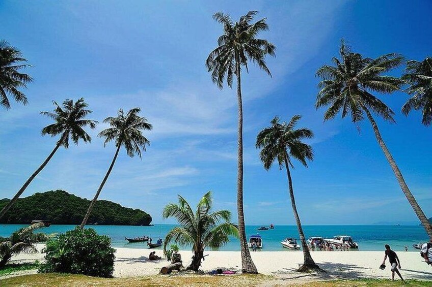 Angthong National Marine Park by Speed Boat with Snorkeling & Kayaking 5