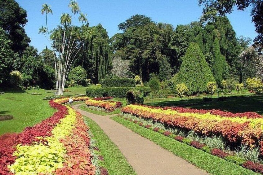 Adventure Day Itinerary to Kandy From Colombo or Airport 1